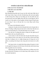 CƠ SỞ LÝ LUẬN VỀ XÚC TIẾN HỖN HỢP