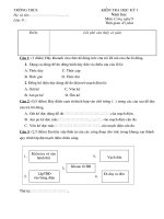 Đề thi HKI - lớp 9