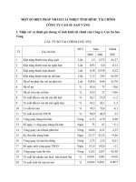 MỘT SỐ BIỆN PHÁP NHẰM CẢI THIỆN TÌNH HÌNH  TÀI CHÍNH CÔNG TY CAO SU SAO VÀNG