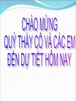 Bai 9: Bai trinh chieu Tiet 1