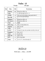 giao an lop 2- tuan 13 cktkn