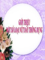 Giới thiệu bộ nút dây đơn giản
