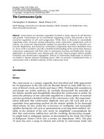 The Centrosome Cycle