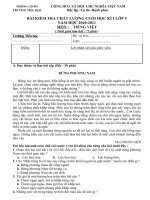 KIỂM TRA TIẾNG VIỆT CUỐI KÌ I(CKTKN)