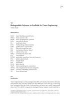 Biodegradable Polymers as Scaffolds for Tissue Engineering