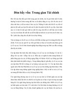 Đòn bẩy vốn: Trung gian Tài chính