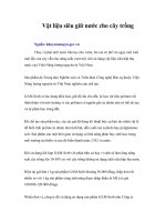 Vật liệu siêu giữ nước cho cây trồng