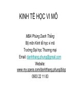 KINH TẾ HỌC VI MÔ - MBA Phùng Danh Thắng