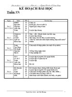 GA lớp 5-tuần 14-KTKN-KNS-MT 2010-2011