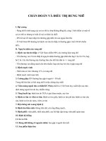 CHẨN ĐOÁN VÀ ĐIỀU TRỊ RUNG NHĨ