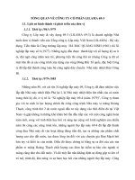 TỔNG QUAN VỀ CÔNG TY CỔ PHẦN LILAMA 69-3