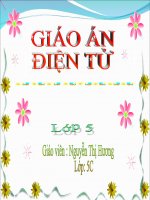 Bài 9: Các dân tộc và sự phân bố dân cư