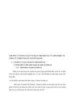 CHƯƠNG 1 CƠ SỞ LÍ LUẬN VỀ QUẢN TRỊ NHÂN SỰ VÀ GIỚI THIỆU VỀ CÔNG TY TNHH TM