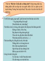 ĐOÀN THUYỀN ĐÁNH CÁ (HUY CẬN)