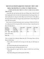 MỘT SỐ GIẢI PHÁP MARKETING NHẰM DUY TRÌ VÀ MỞ  RỘNG THỊ TRƯỜNG CỦA CÔNG TY TNHH TM SANA