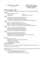 Kiem tra hình chuong I Toan 8