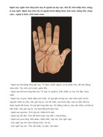 Xem tướng tay: Các ngón tay