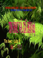 Tin học và xã hội (tt)_Tiết 27_Bài 7