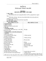 GIAO AN LOP 5 TUAN 11 CHUAN KTKN (H)