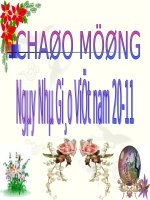 Vai trò và nhiệm vụ của trồng rừng