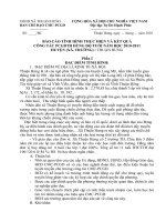 Báo cáo tình hình thực hiện PC-CMC