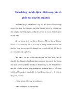 Dinh dưỡng và chữa bệnh với sữa ong chúa và phấn hoa ong