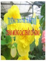 toan 8 - on tap chuong I