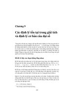 Các định lý tồn tại trong giải tích và định lý cơ bản của đại số