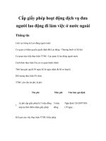 Cấp giấy phép hoạt động dịch vụ đưa người lao động đi làm việc ở nước ngoài