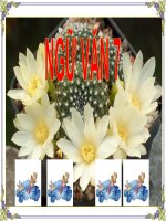 tiet 64 Sai gon toi yeu