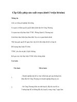 Cấp Giấy phép sản xuất rượu (dưới 3 triệu lít/năm)