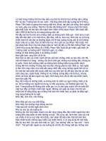 Bai phan tich rat hay