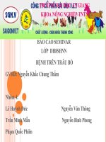 bệnh ở trâu bò