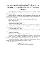 LẬP BÁO CÁO TÀI  CHÍNH VÀ PHÂN TÍCH MỘT SỐ CHỈ TIÊU VỀ TÌNH HÌNH TÀI CHÍNH CỦA DOANH NGHIỆP