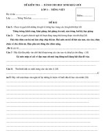 Đề thi HSG lớp từ L2-L5: Toán + T.Việt