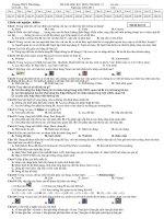 de thi hki Tin 12- ma 132