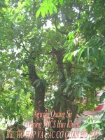 tiết 21: HÔ HẤP VÀ CÁC CƠ QUAN HÔ HẤP