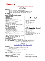 Kế hoạch bài dạy tuân 14