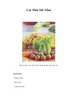 Cải Thìa Sốt Nấm