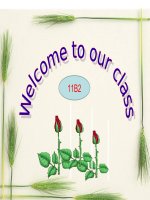 Unit 8_ English 11 (he 3 nam)