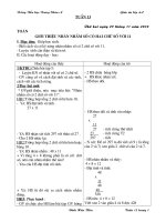 GA lớp 4 tuần 13 (2010-hoaphuong)