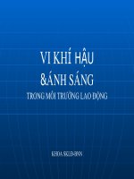 Lý thuyết vi khí hậu và ánh sáng 