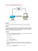 Catalyst 2900 Password Recovery