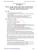 Âm nhạc & Mĩ thuật tuần 14