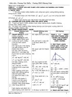 Giáo án Hình 9(CKTKN)