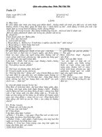 giáo án ngữ văn 9 tuần 13