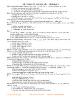 BÀI TẬP TỔNG HỢP HÌNH HKI