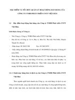 ĐẶC ĐIỂM VÀ TỔ CHỨC QUẢN LÝ HOẠT ĐỘNG BÁN HÀNG CỦA CÔNG TY TNHH PHÁT TRIỀN CNTT VIỆT HÀN