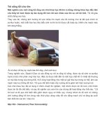 Tỏi sống tốt cho tim