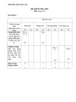 Đề KT 45 Tiếng Việt